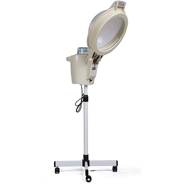 Smlzv Hair Steamer Ozone For Natural Hair With Stand ...