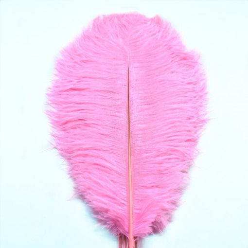 used ostrich feathers